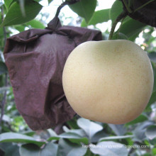 Высококачественная свежая золотистая груша / Crown Pear